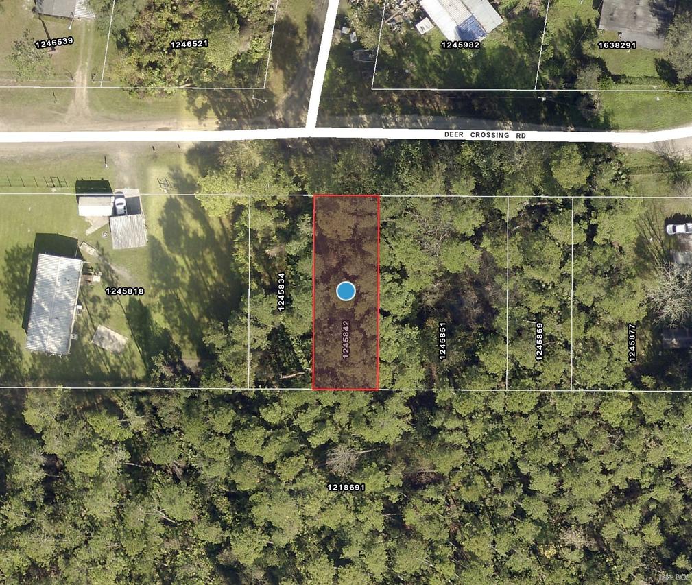 TBD Deer Crossing Rd., Altoona, FL 32702