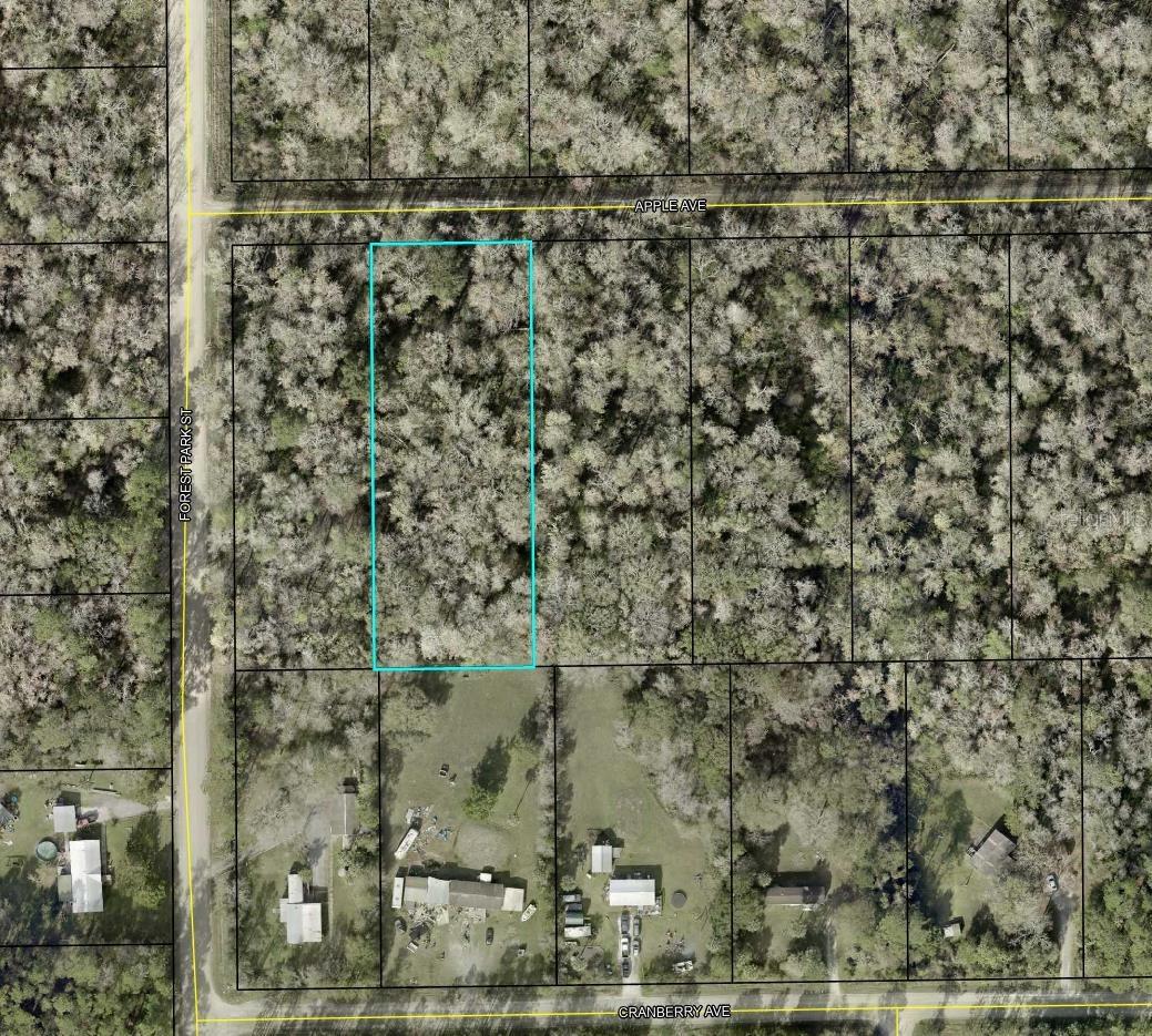 3909 Apple Ave., Bunnell, FL 32110