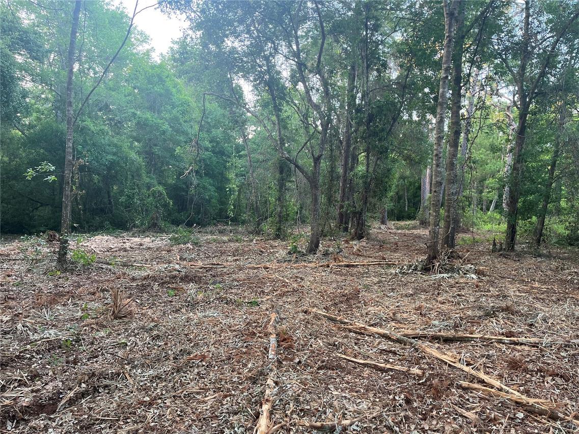 10117 Orland St., New Port Richey, FL 34654