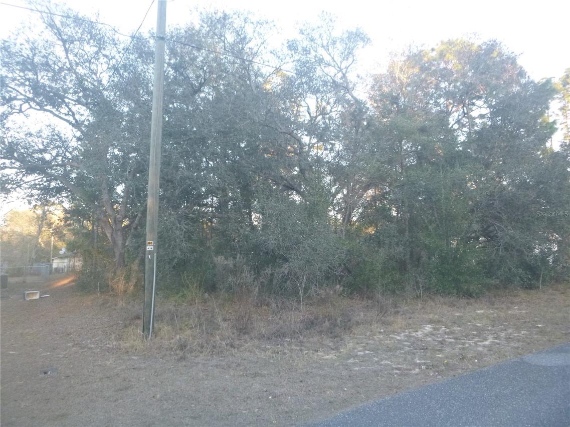 8253 N Krouse Way, Dunnellon, FL 34433