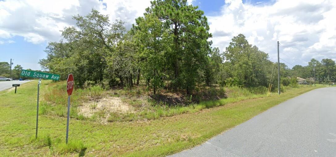 00 Old Squaw Ave., Weeki Wachee, FL 34614