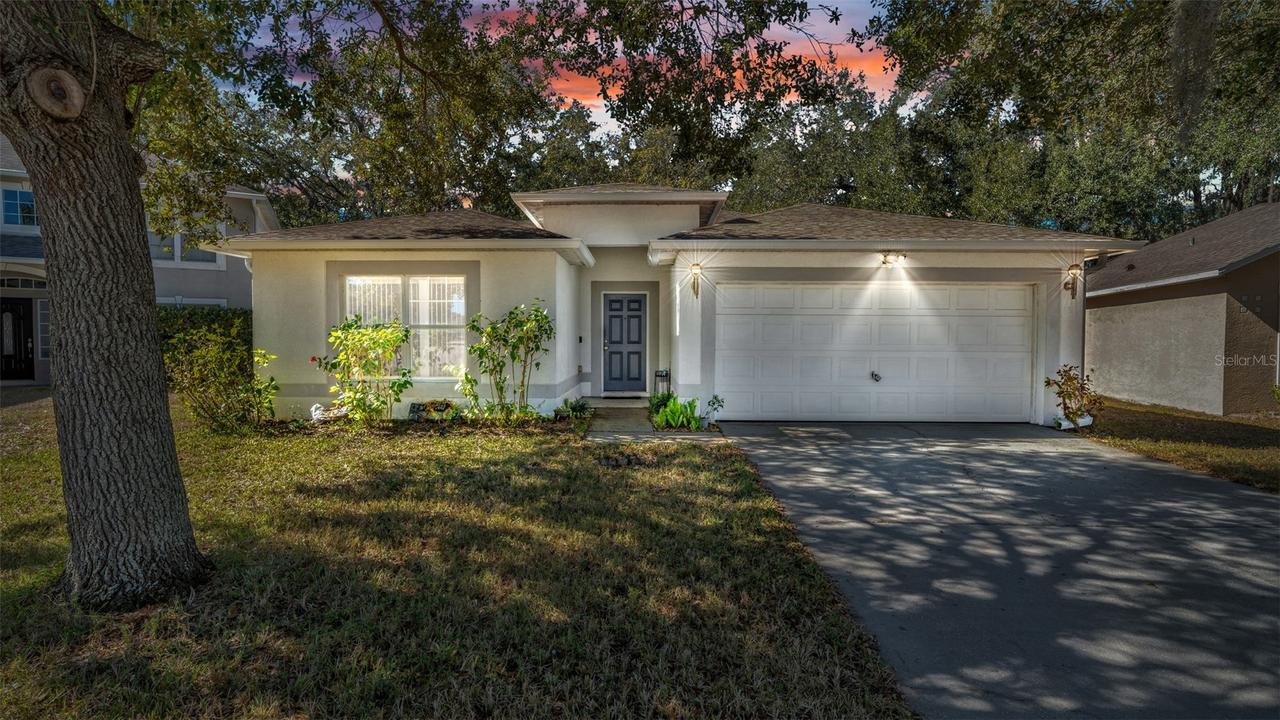 30244 Birdhouse Dr., Wesley Chapel, FL 33545