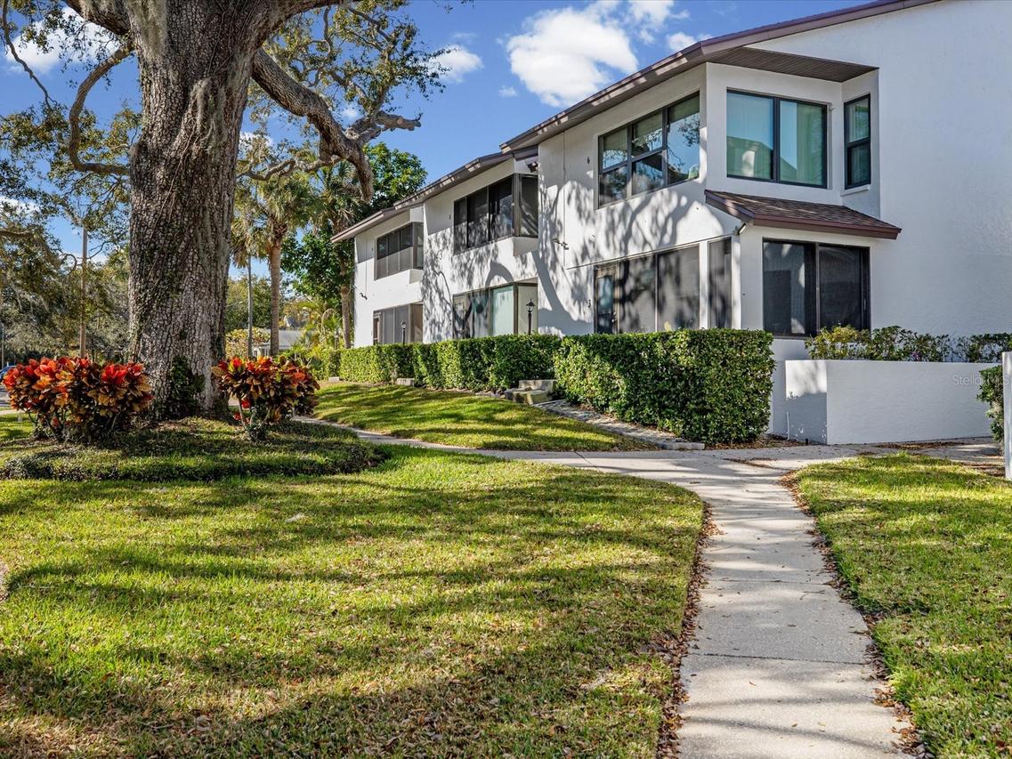 413 S Bayshore Blvd. #4, Safety Harbor, FL 34695