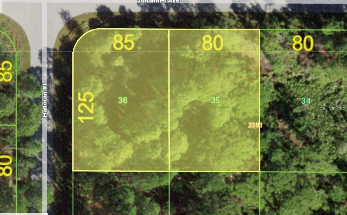 13069-13061 Johannes Ave., Port Charlotte, FL 33953