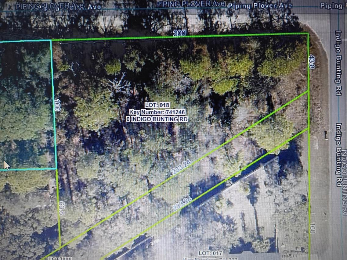 12449 Indigo Bunting, Weeki Wachee, FL 34614