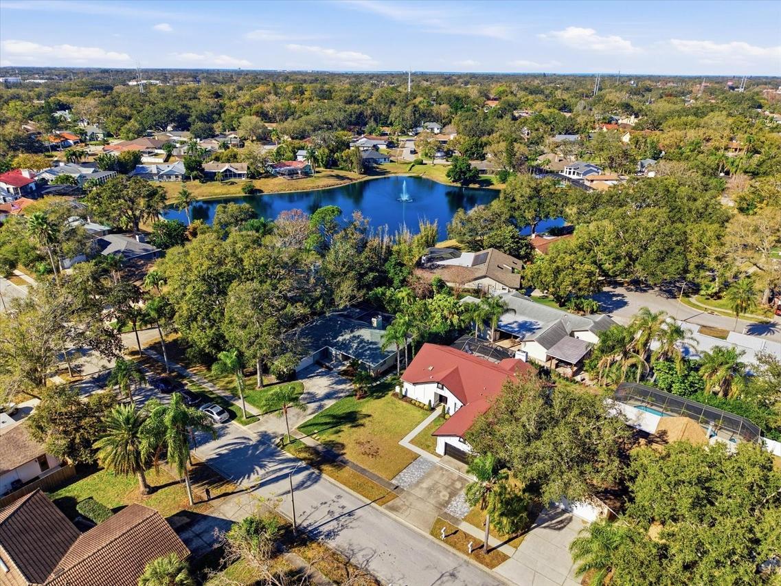 4703 Orange Grove Way, Palm Harbor, FL 34684