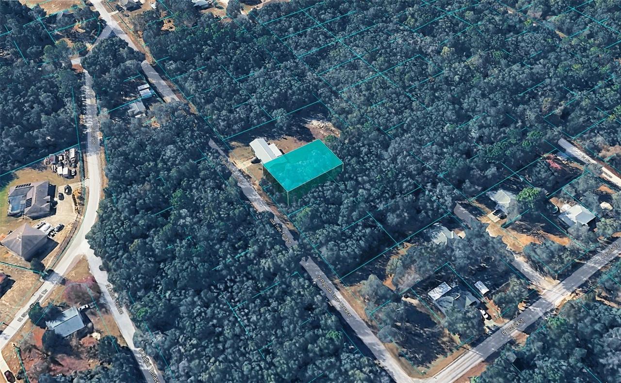 6600 N Pagoda Tree Ter., Hernando, FL 34442