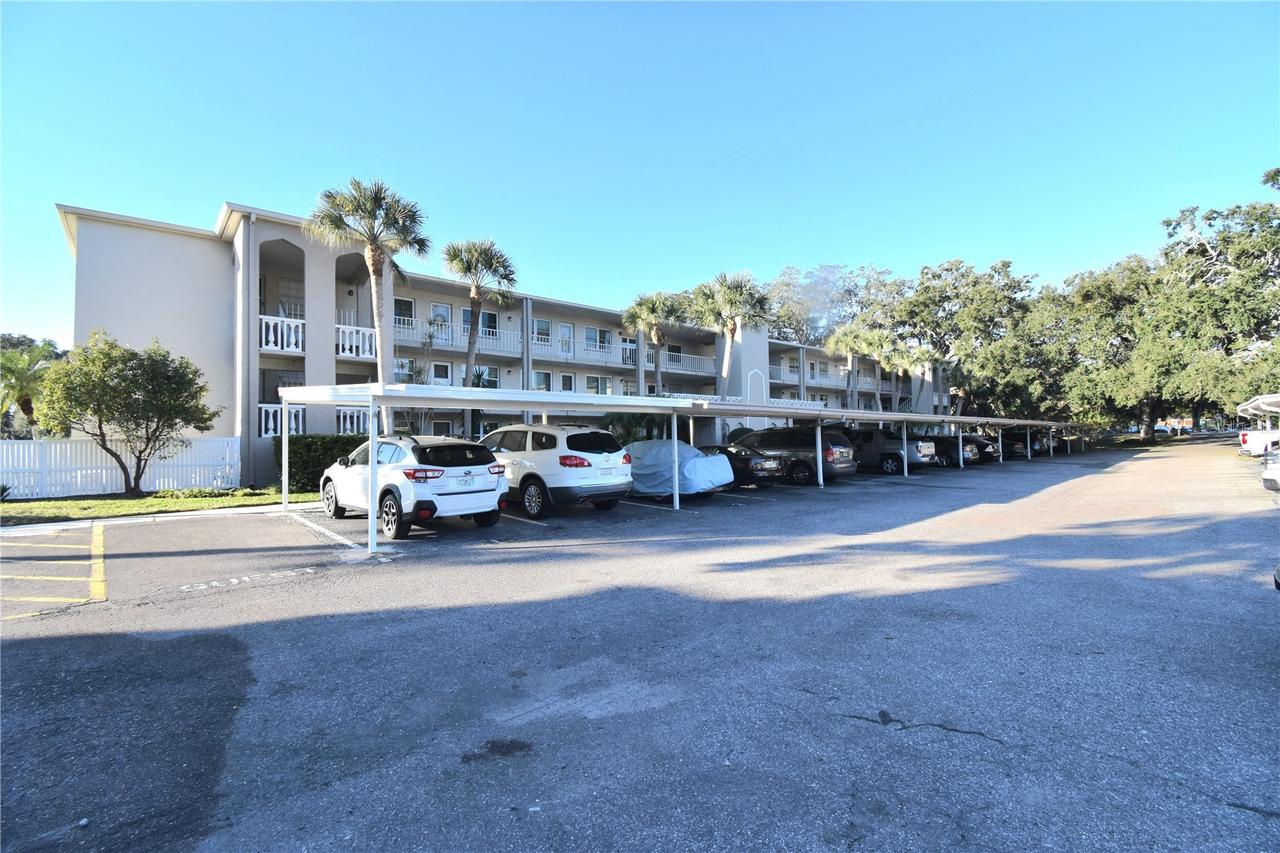 841 Patricia Ave. #202, Dunedin, FL 34698