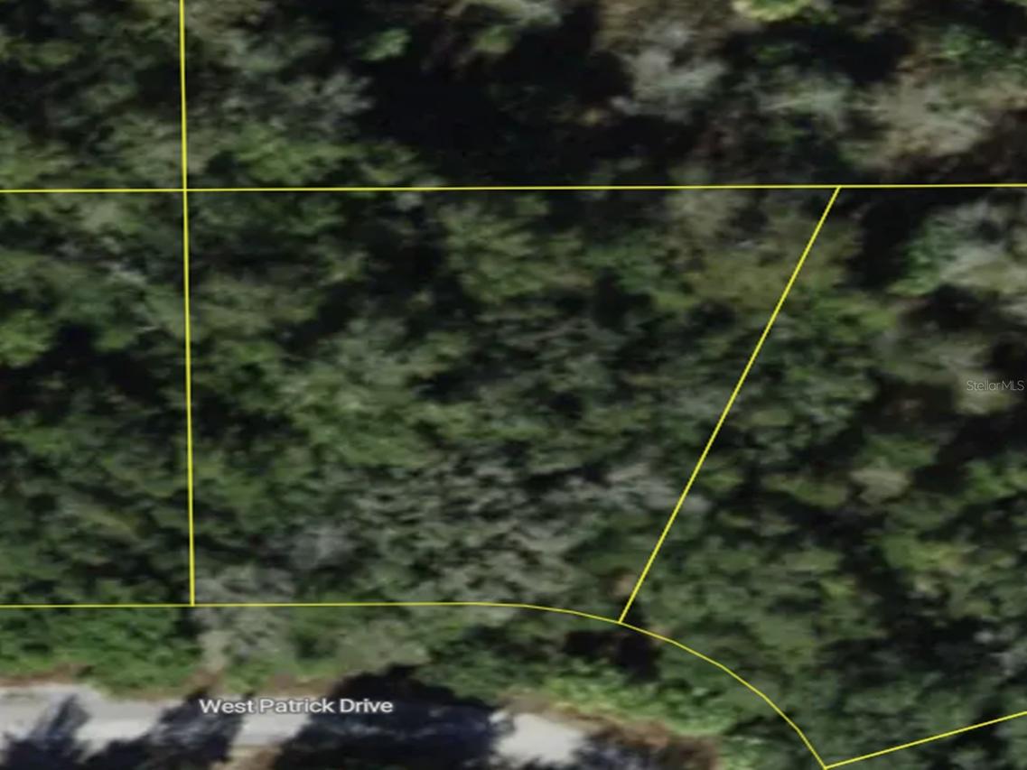 6891 W Patrick Dr., Homosassa, FL 34446