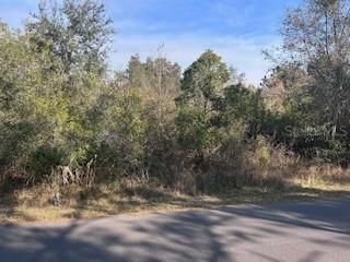 Lantana Dr., Indian Lake Estates, FL 33855