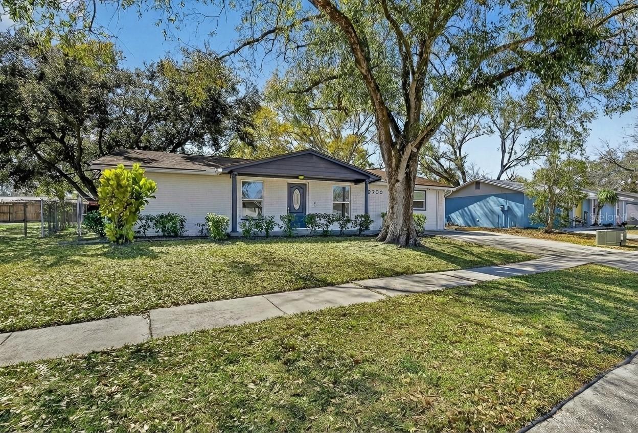 3706 Mistwood Dr., Tampa, FL 33619