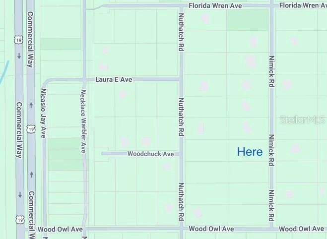 17467 Nimick Rd., Weeki Wachee, FL 34614