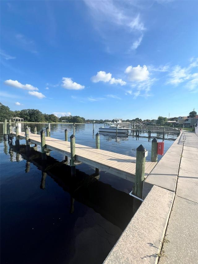 2424 W Tampa Bay Blvd. #L203, Tampa, FL 33607