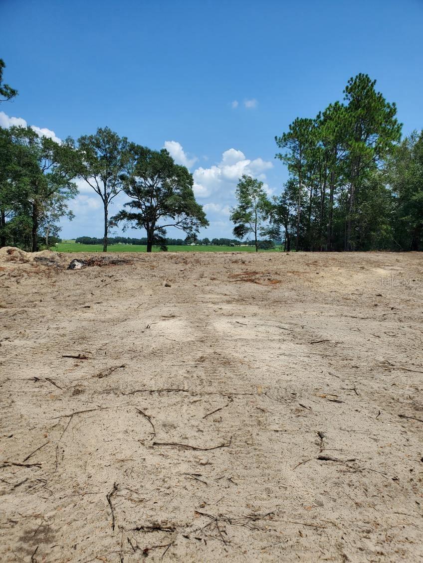 Chilla, Dunnellon, FL 34431