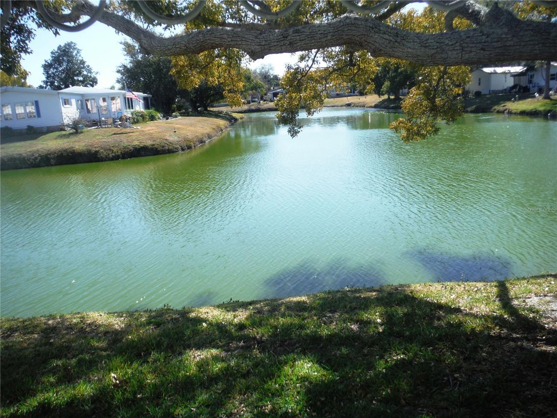 172 Clubview Dr. #5, Safety Harbor, FL 34695