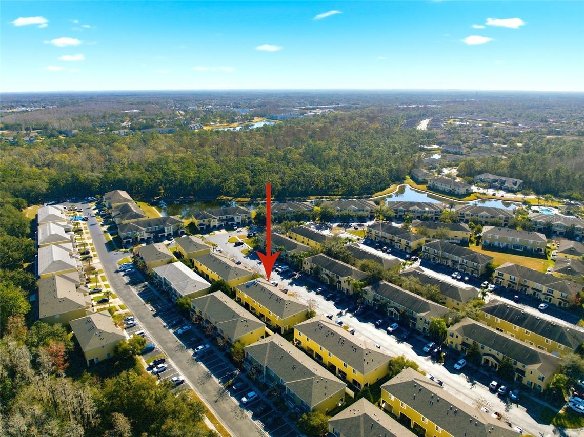 8532 Brushleaf Way, Tampa, FL 33647