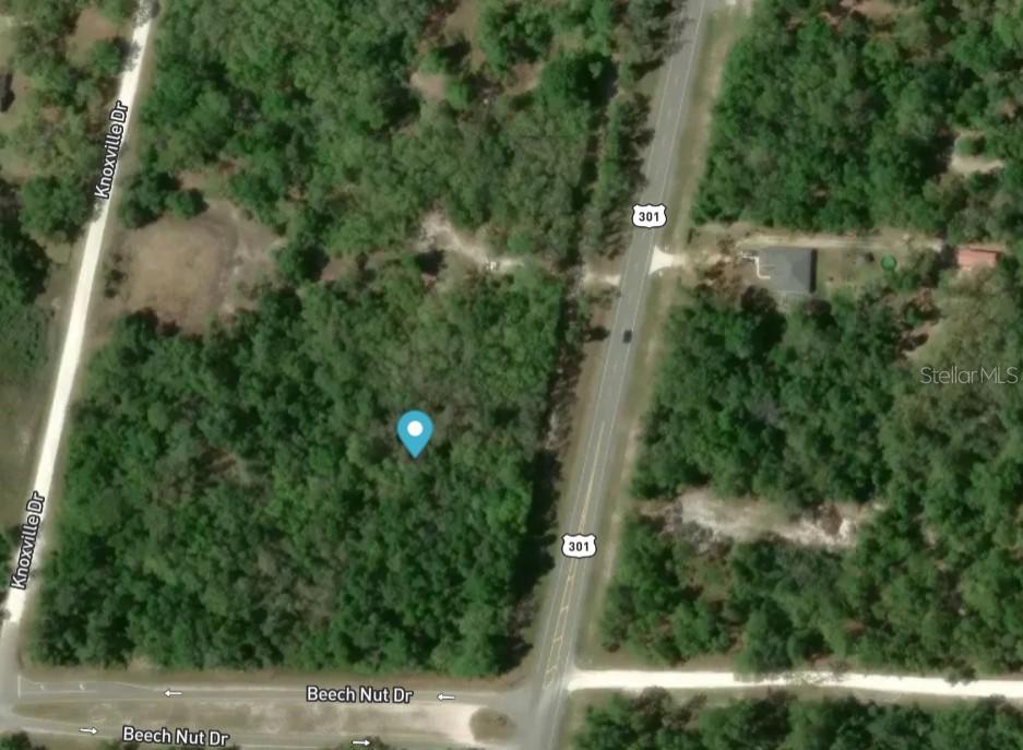 7445 Treiman Blvd., Webster, FL 33597