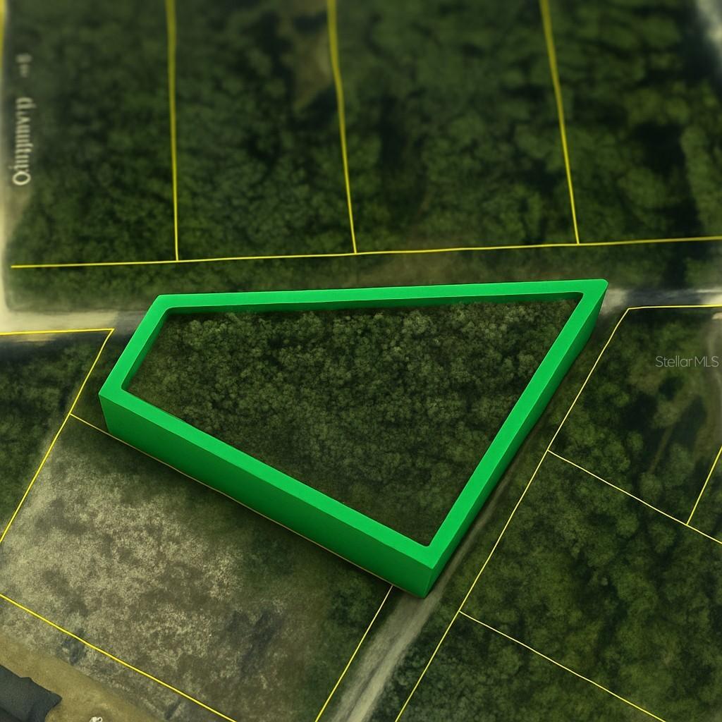 00 Coral Rock Dr. #5, Webster, FL 33597