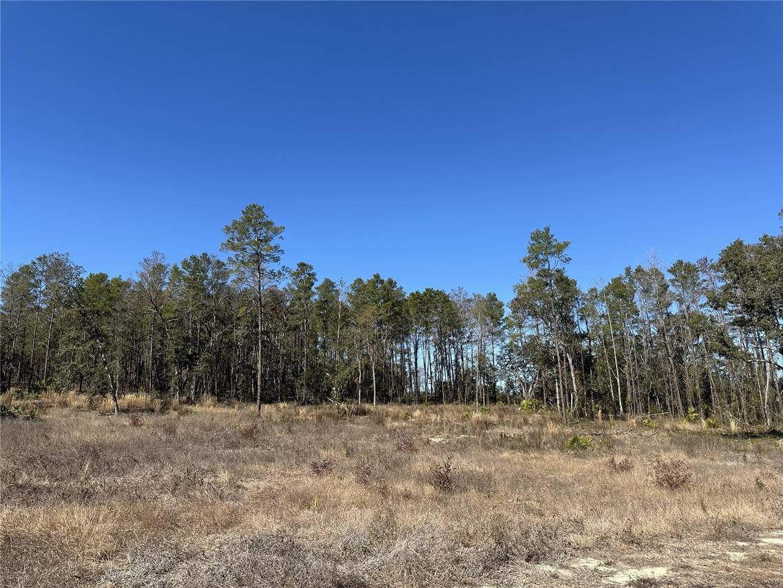 13331 Haven Tr., Weeki Wachee, FL 34614