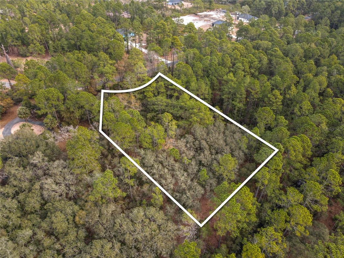 LOT 9 Apricot Ave., Eustis, FL 32736