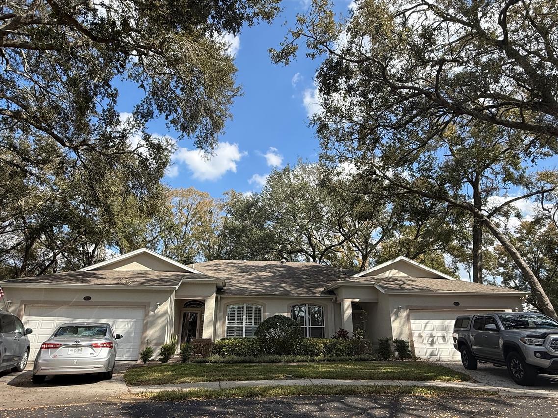 8633 Alexandra Arbor Ln., Tampa, FL 33637