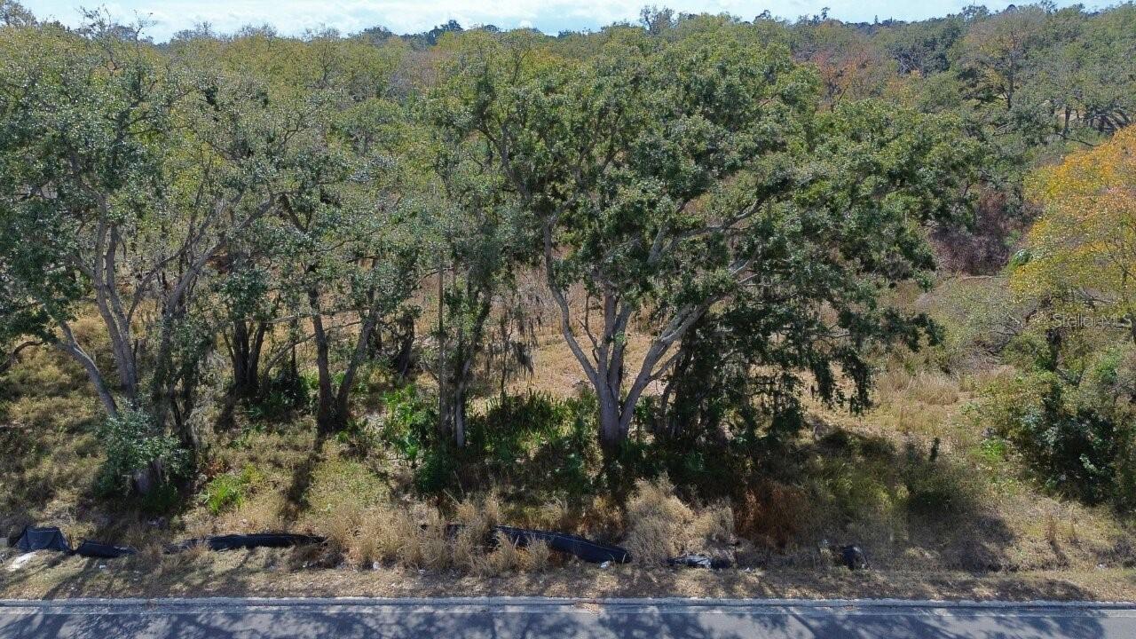 E Diana St., Tampa, FL 33610