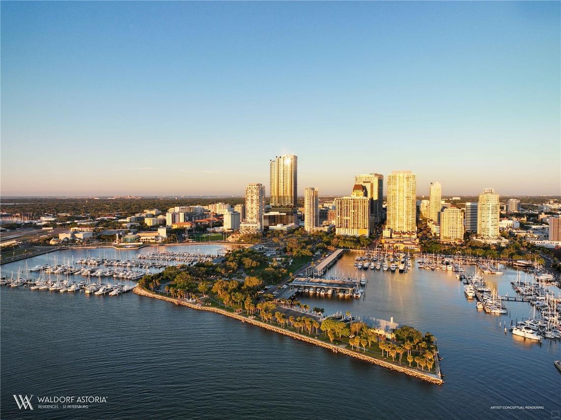 150 2nd Ave. #2702, St Petersburg, FL 33701