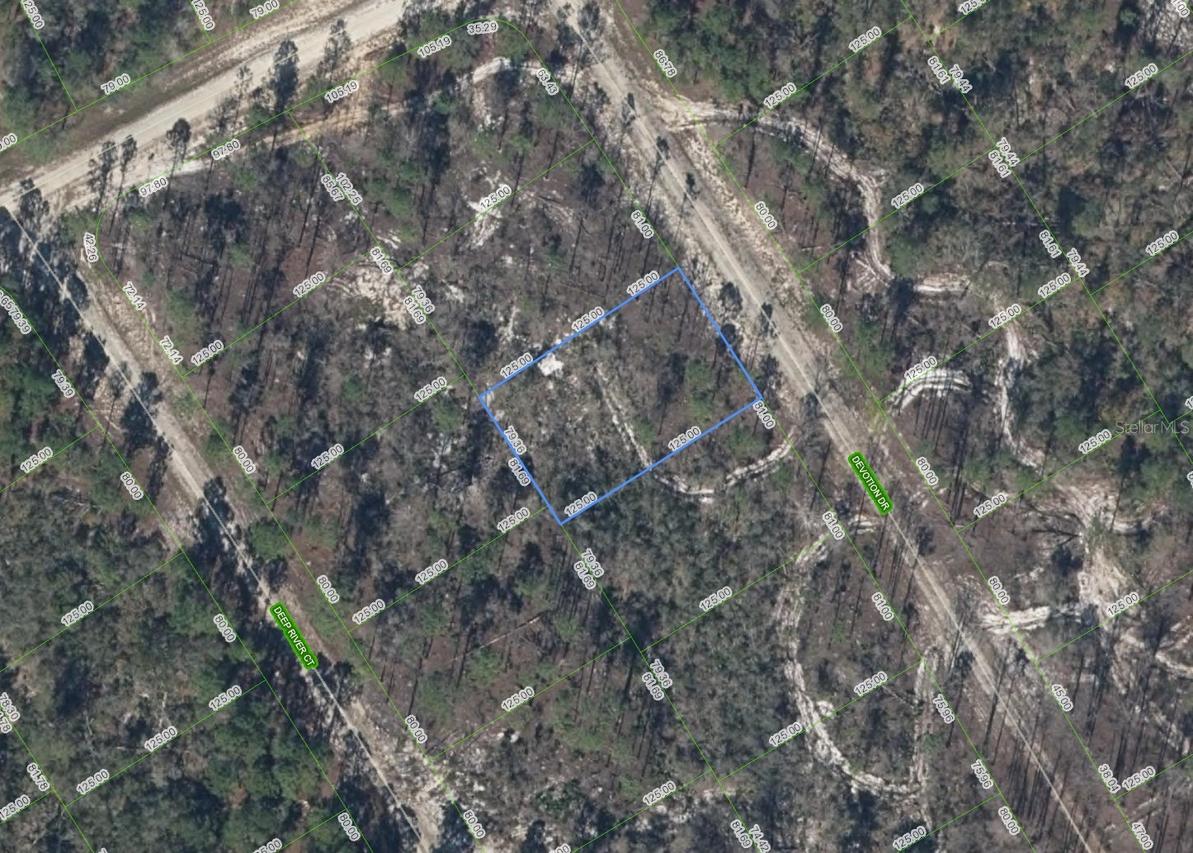 522 Devotion Dr., Lake Placid, FL 33852