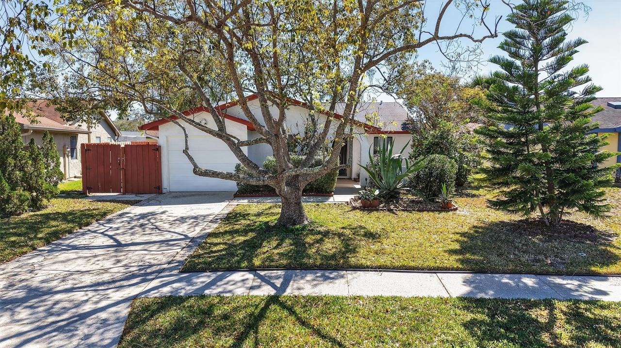 215 Lake Charles Ct., Oldsmar, FL 34677