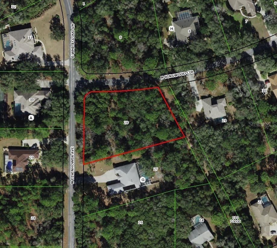 4001 N Ringwood Cir., Hernando, FL 34442