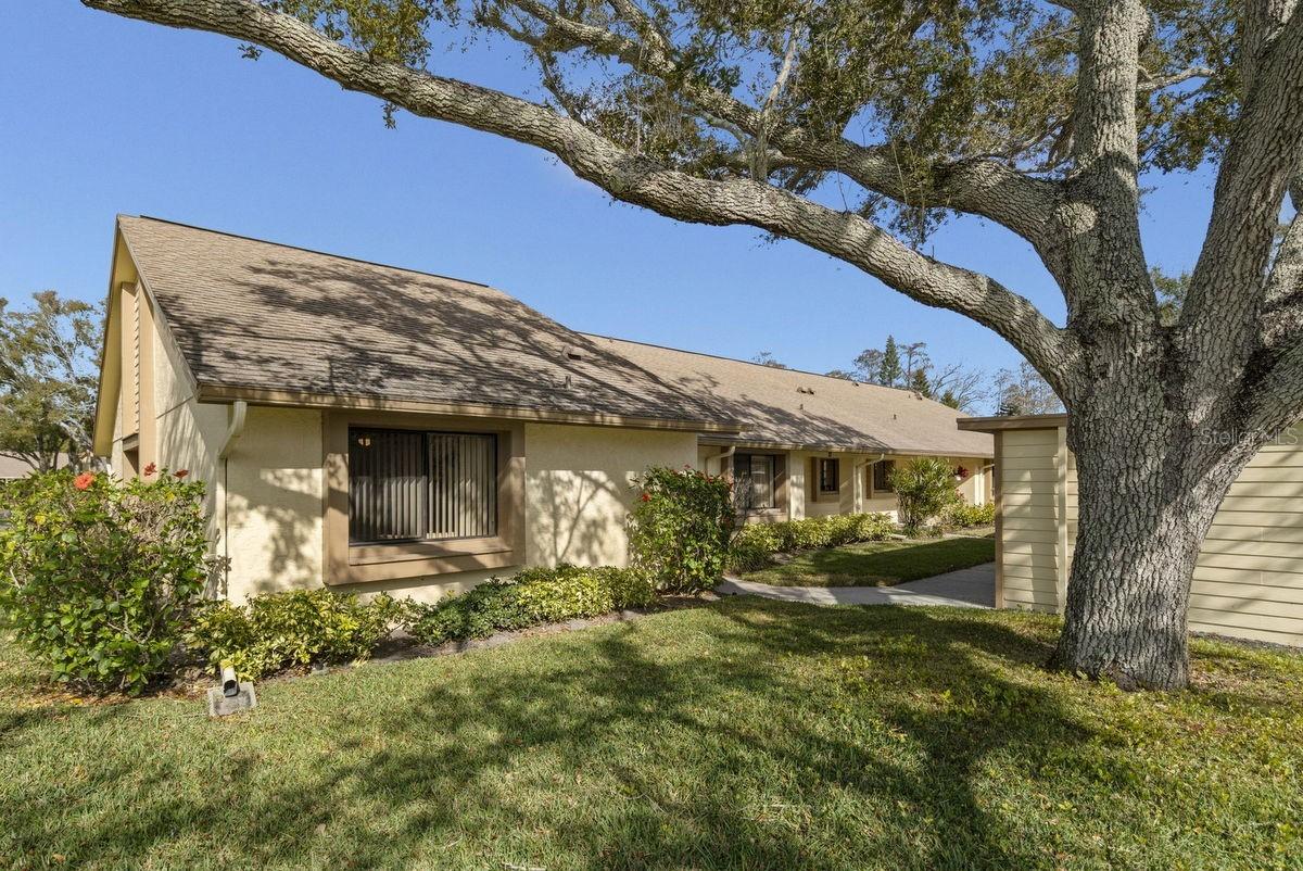 2573 Oakleaf Ln. #39A, Clearwater, FL 33763