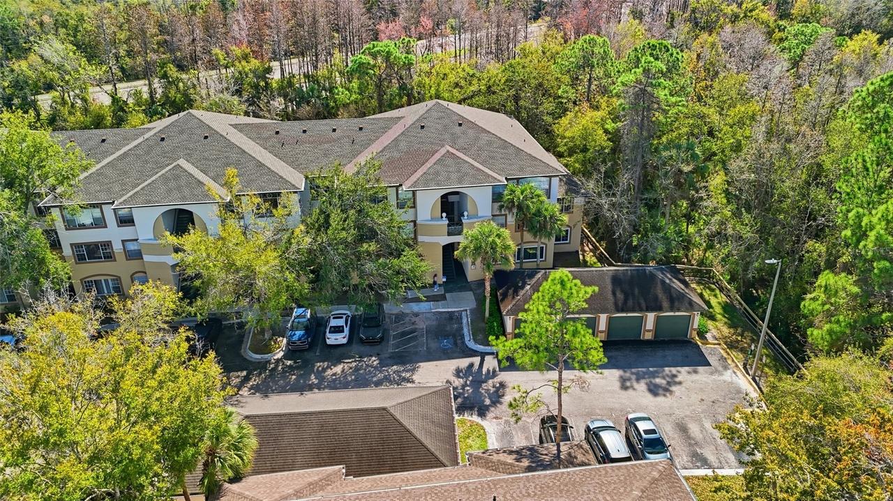 17106 Carrington Park Dr. #623, Tampa, FL 33647