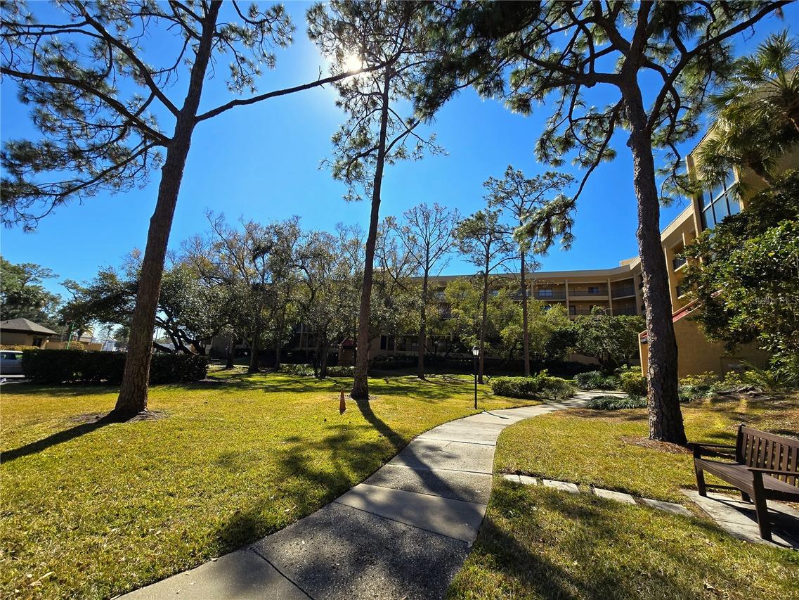 3078 Eastland Blvd. #411, Clearwater, FL 33761