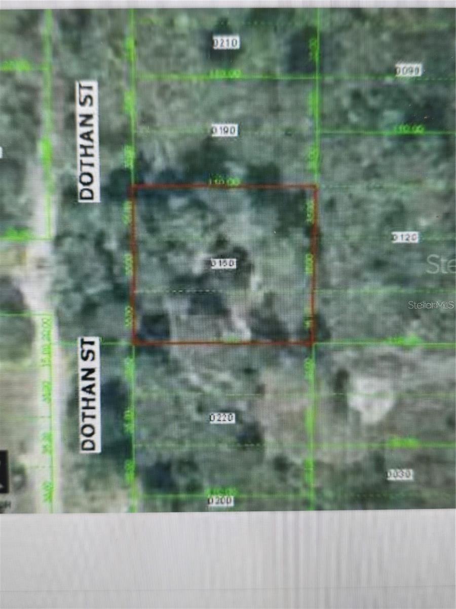 Dothan, New Port Richey, FL 34654