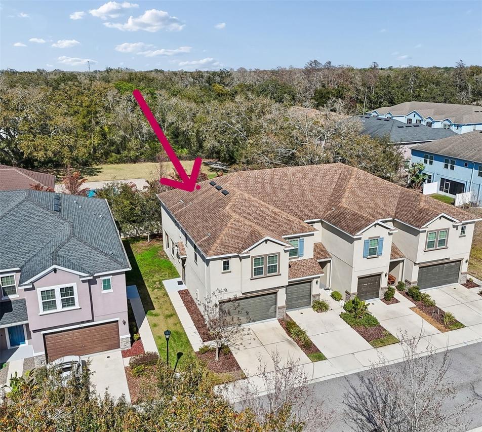 6867 Citrus Creek Ln., Tampa, FL 33625