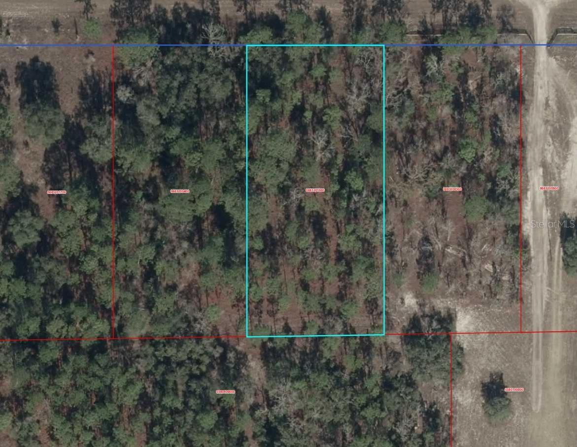 00000 SE 114th Pl., Dunnellon, FL 34431