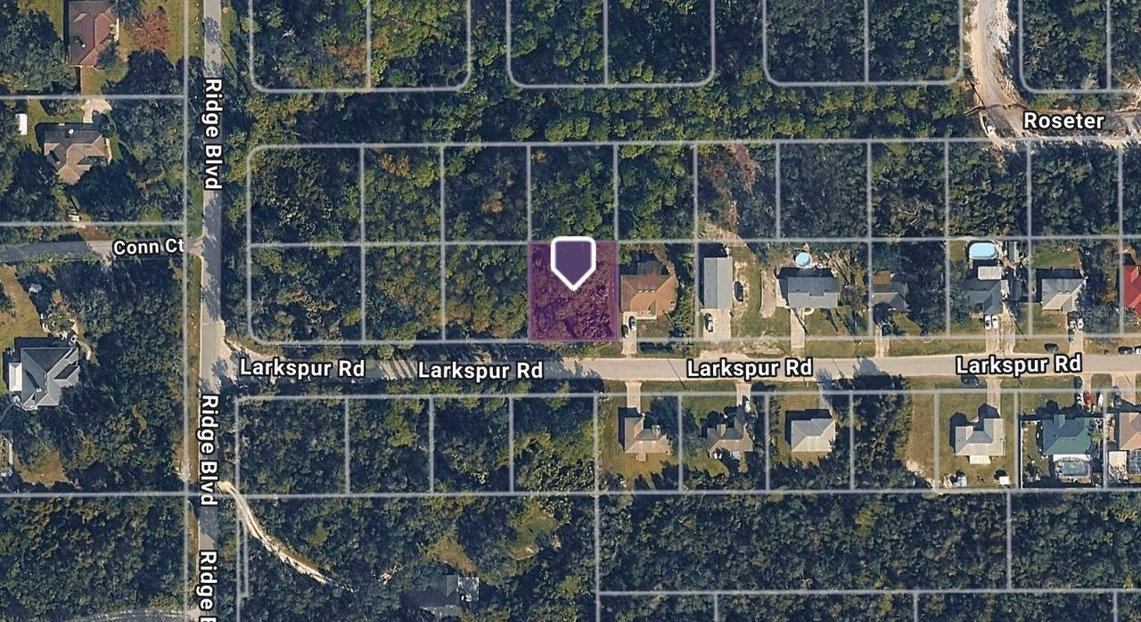 Larkspur Rd., Deland, FL 32724