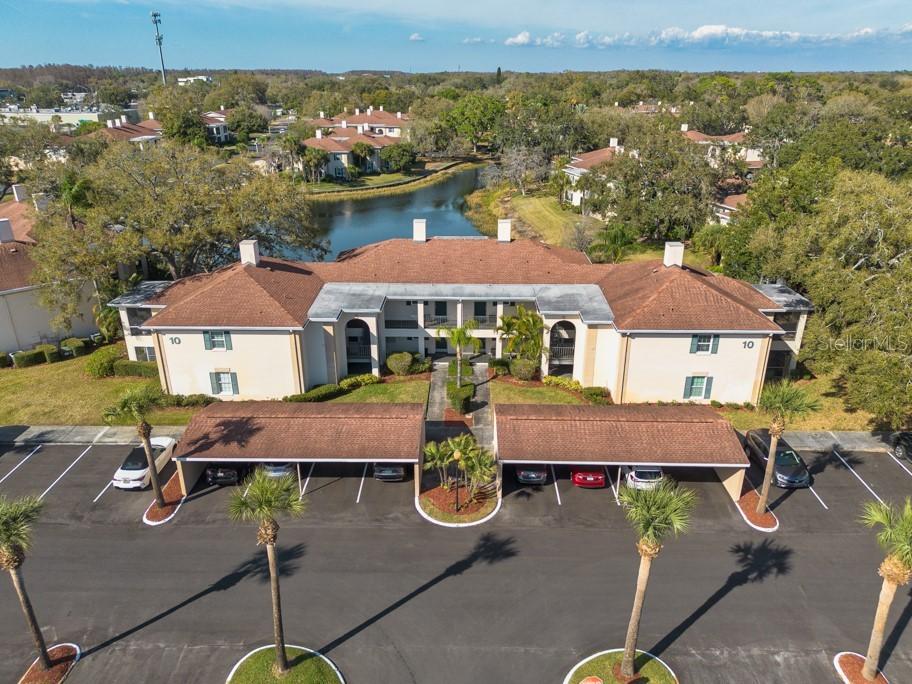 10336 Carrollwood Ln. #106, Tampa, FL 33618