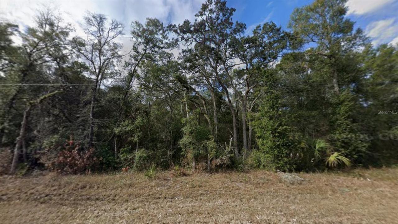 NW 85th Ave., Chiefland, FL 32626