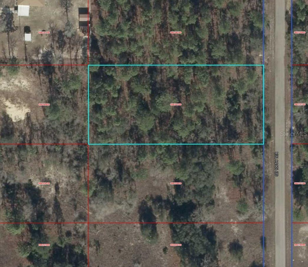 00000 SE 126th Ter., Dunnellon, FL 34431