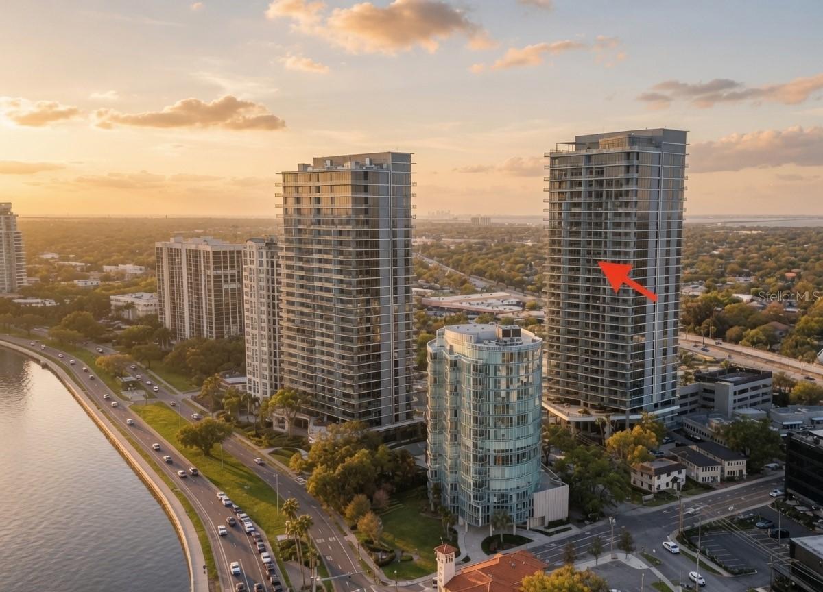 3015 S Ysabella Ave. #2003, Tampa, FL 33629