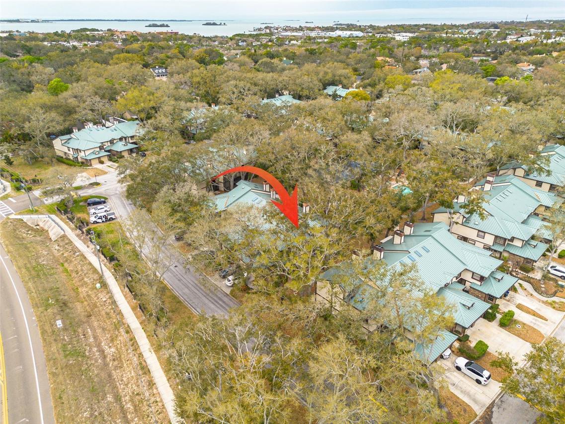 1484 Buckeye Ln., Palm Harbor, FL 34683