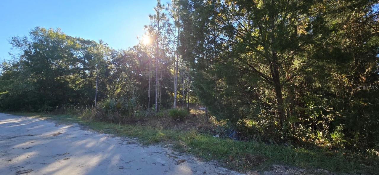7784 W Twin Canal Ln., Homosassa, FL 34448