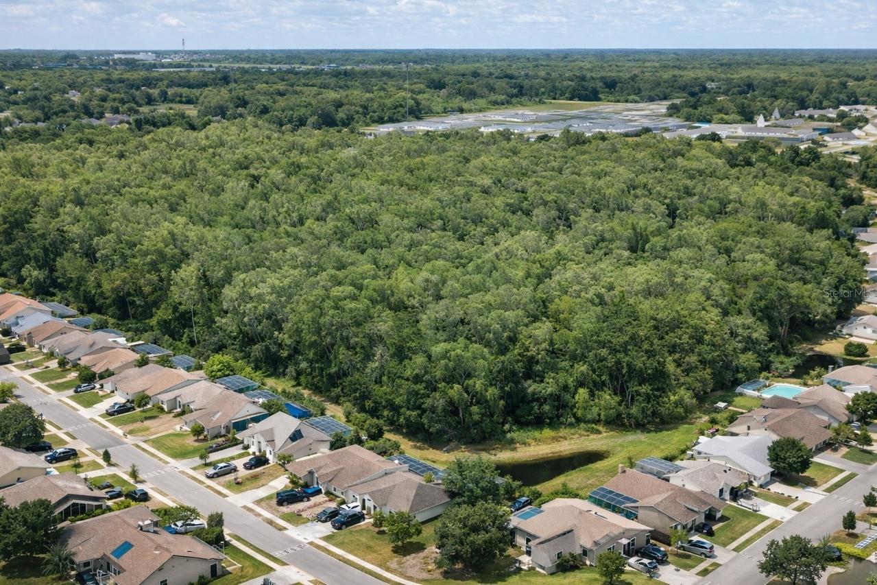 Via Segovia, New Port Richey, FL 34655