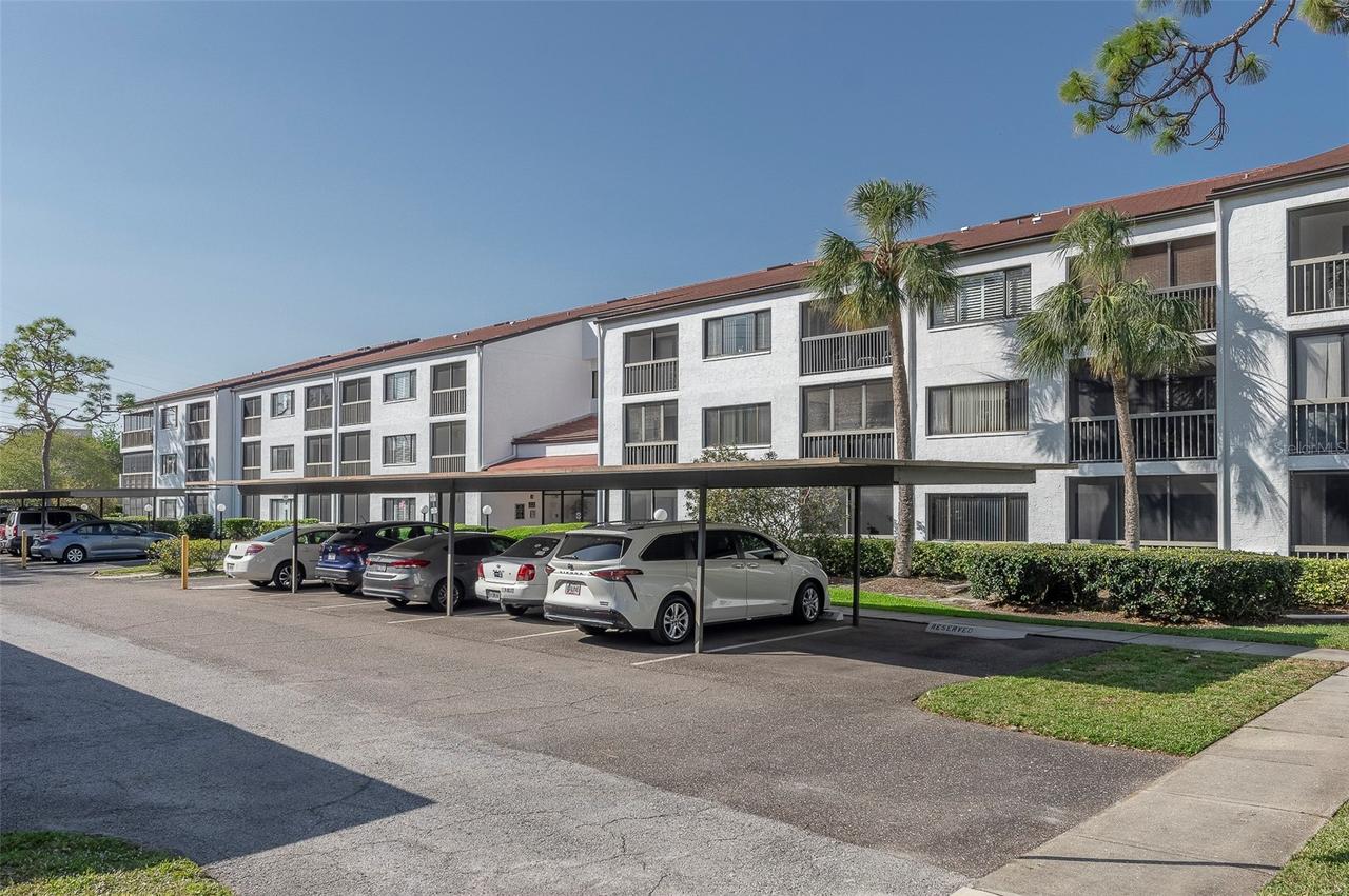2595 Countryside Blvd. #8311, Clearwater, FL 33761
