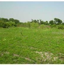 5224 Clarence Gordon Junior Rd., Plant City, FL 33567