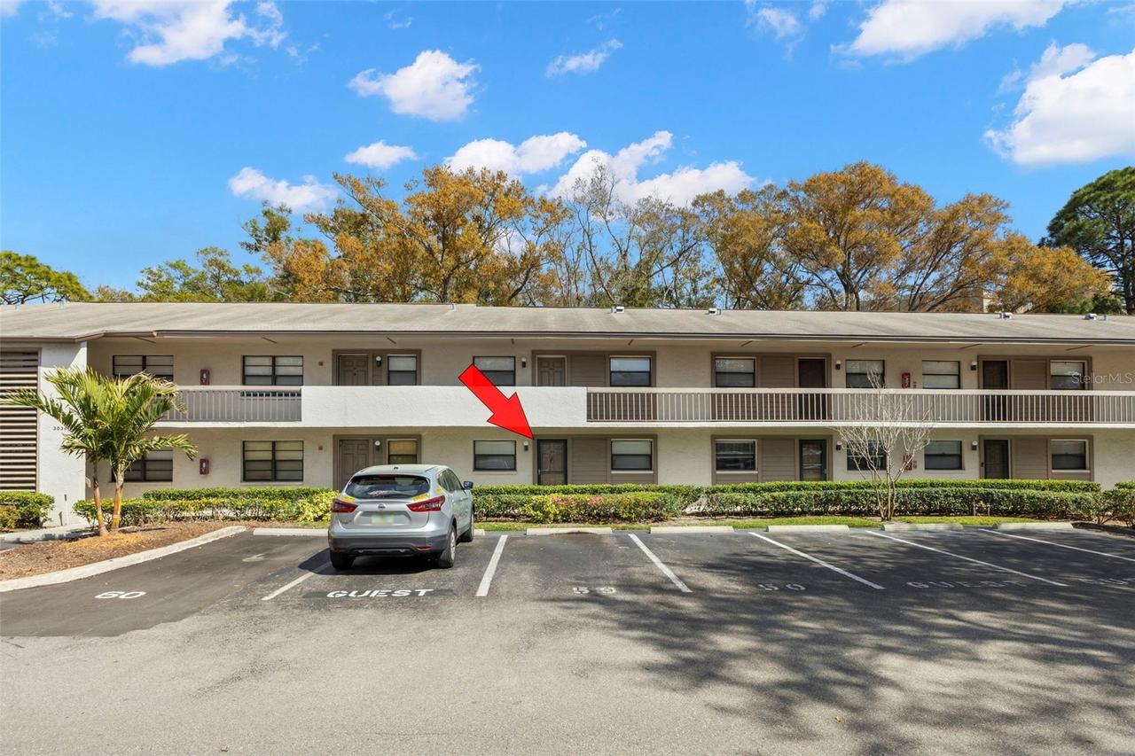 3034 Eastland Blvd. #D104, Clearwater, FL 33761