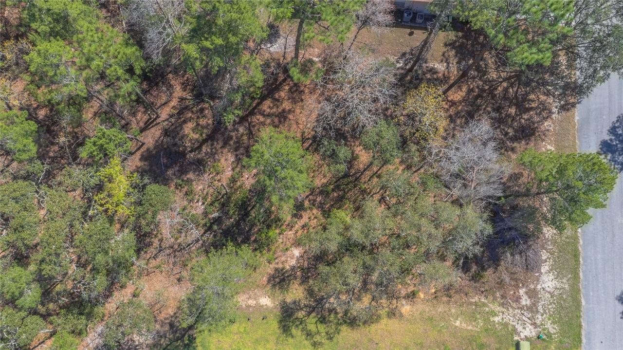 16 Iberis Ct., Homosassa, FL 34446