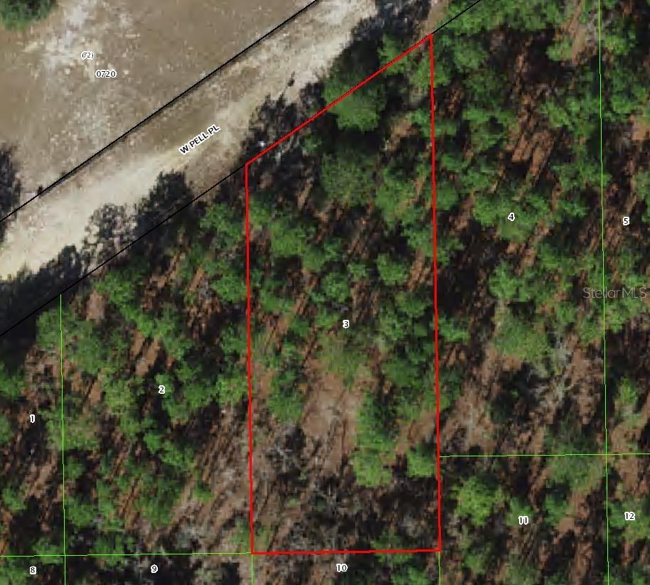 6046 W Pell Pl., Dunnellon, FL 34433