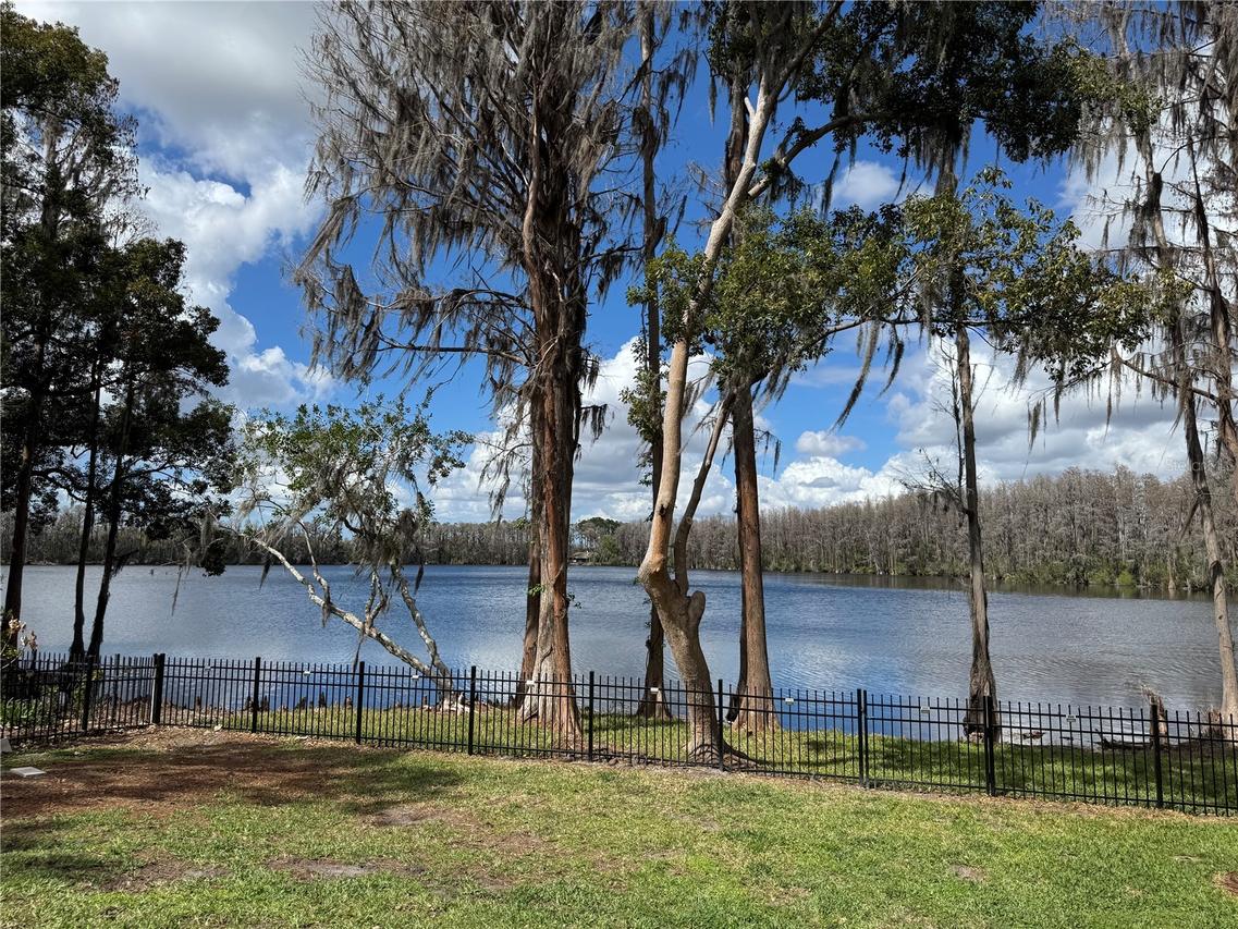 21001 Lake Vienna Dr., Land O Lakes, FL 34638